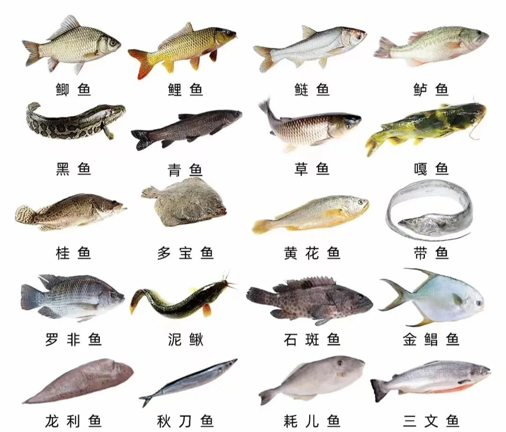 89f9e57b92e640d39871dafb40e04cf2.Png