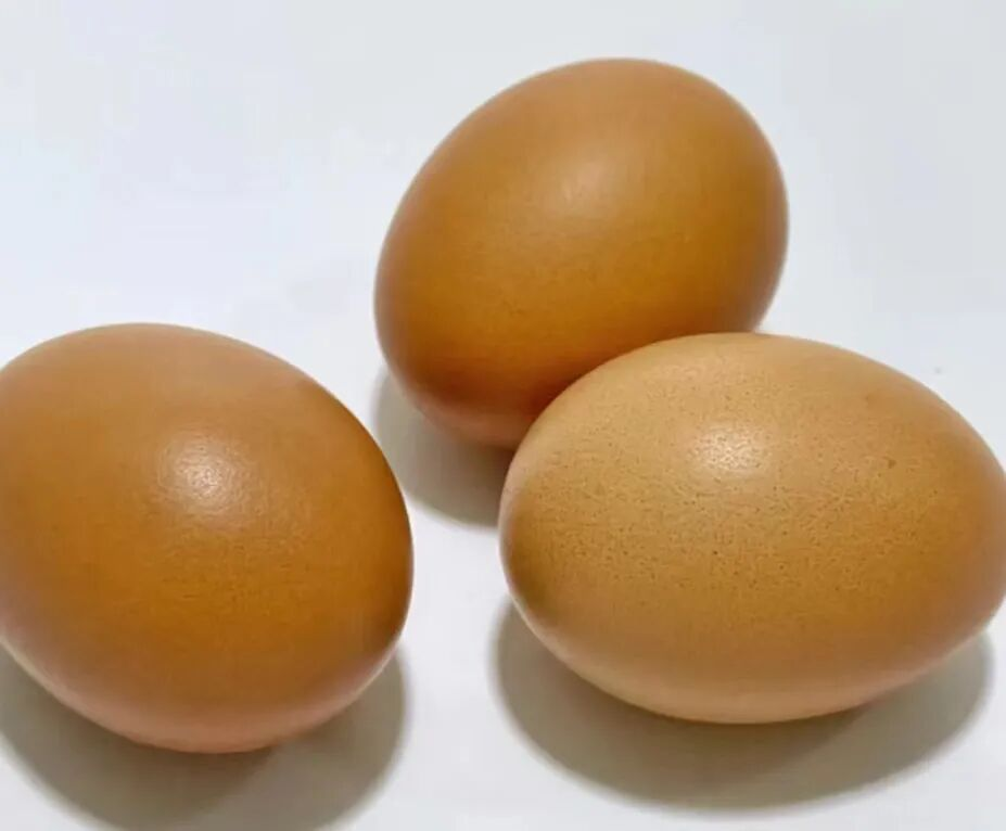d75cb5fd0b6647409184acd819d60b06.Png