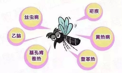 e8cbb49ad89a4295a52f77b1e2f682e7.Png