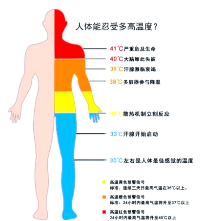 9d937d******74928a26a11a01a90597b.Png